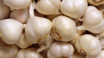قرحة والتهابات.. خبير تغذية يحذر من بلع فصوص الثوم على الريق