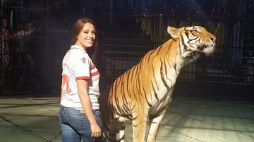 400 ألف جنيه.. الصلح بين أنوسة كوته وأسرة عامل السيرك المصاب 400 ألف جنيه.. الصلح بين أنوسة كوته وأسرة عامل السيرك المصاب