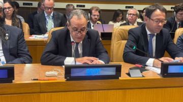 وزير الخارجية: لجنة دولية أكدت ارتكاب الاحتلال الإبادة الجماعية بحق الفلسطينيين