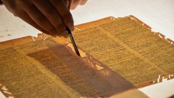 ختام الدورة التأسيسية في ترميم الأوعية الورقية بمكتبة الإسكندرية