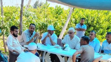 لتسويق المحاصيل.. الزراعة: تكويد المزارع وتسهيل الإجراءات اللازمة لذلك