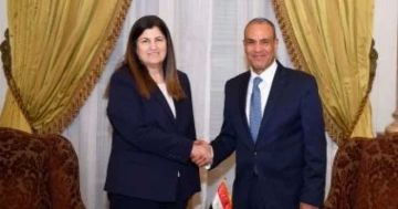 وزير الخارجية يشدد على رفض مصر القاطع لمخططات تهجير الفلسطينيين من أراضيهم وزير الخارجية يشدد على رفض مصر القاطع لمخططات تهجير الفلسطينيين من أراضيهم