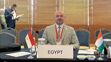 التضامن تمثل مصر في الاجتماع الـ25 لمجموعة عمل الكومسيك