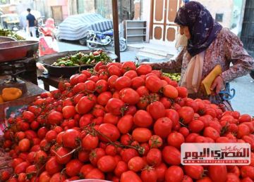 الطماطم تبدأ من 10 جنيهات.. أسعار الخضروات اليوم الأحد 21 سبتمبر 2025 بأسواق الأقصر