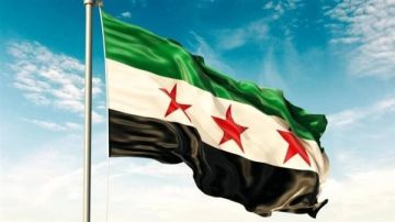 المستشار الإعلامي للرئيس السوري يكشف سبب المطالبة بحل الإخوان الإرهابية (فيديو)