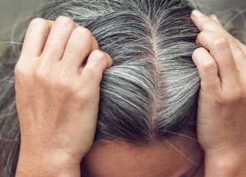 هل يمكن علاج الخصلات الرمادية؟ علماء صينيون يطورون حقنا لاستعادة اللون الأسود للشعر هل يمكن علاج الخصلات الرمادية؟ علماء صينيون يطورون حقنا لاستعادة اللون الأسود للشعر