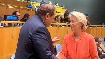 أبو العينين: لولا موقف مصر والرئيس السيسي لضاعت القضية والأرض الفلسطينية أبو العينين: لولا موقف مصر والرئيس السيسي لضاعت القضية والأرض الفلسطينية