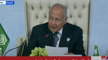 أبو الغيط للإسرائيليين: ما تقوم به حكومتكم من قتل وتجويع الشعب الفلسطيني في غزة لن ينسى