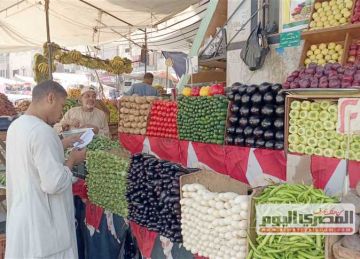 الخيار بـ 20 جنيها.. أسعار الخضار والفاكهة في الشرقية اليوم الثلاثاء 9 سبتمبر 2025