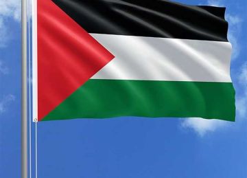 بعد بريطانيا وأستراليا وكندا.. 7 دول تتجه للاعتراف بدولة فلسطين (تعرف عليها) بعد بريطانيا وأستراليا وكندا.. 7 دول تتجه للاعتراف بدولة فلسطين (تعرف عليها)