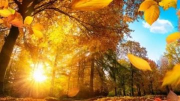 تقلبات أجواء نهاية سبتمبر.. تعرف على طقس اليوم الثلاثاء ودرجات الحرارة المتوقعة