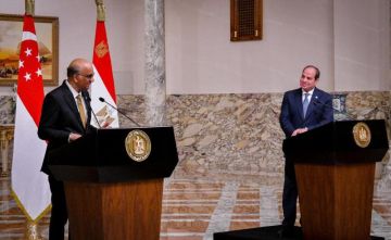 الرئيس السيسي: العلاقات بين مصر وسنغافورة قوية ومتميزة وقائمة على الاحترام والود المتبادل