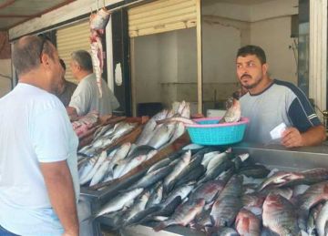 سعر السمك والكابوريا والجمبري بالأسواق اليوم الخميس 18 سبتمبر 2025