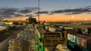 قافلة زاد العزة .. الهلال الأحمر يدفع بـ122 ألف سلة غذائية إلى غزة