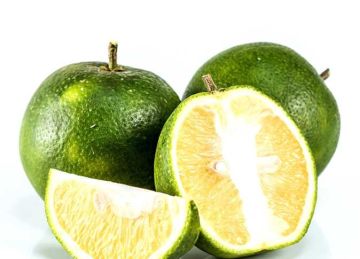 بعد ظهوره في الأسواق.. ما هو الفرق بين البرتقال والتفاح من حيث القيمة الغذائية؟