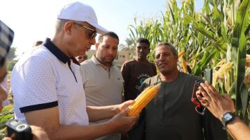تزامنا مع الاحتفال بـ عيد الفلاح .. محافظ المنيا يشارك في حصاد المحاصيل الصيفية تزامنا مع الاحتفال بـ عيد الفلاح .. محافظ المنيا يشارك في حصاد المحاصيل الصيفية