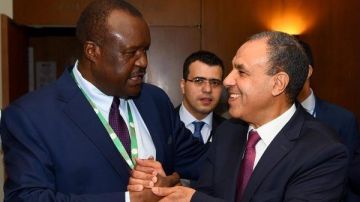 وزير الخارجية: دعم مصري كامل لتطوير دور برلمان عموم إفريقيا وزير الخارجية: دعم مصري كامل لتطوير دور برلمان عموم إفريقيا