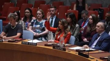 صلاح عبد العاطي: واشنطن شريكة في الإبادة الجماعية بغزة عبر استخدام متكرر للفيتو صلاح عبد العاطي: واشنطن شريكة في الإبادة الجماعية بغزة عبر استخدام متكرر للفيتو