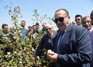 محافظ أسيوط يفتتح موسم جني القطن لعام 2025 (صور)