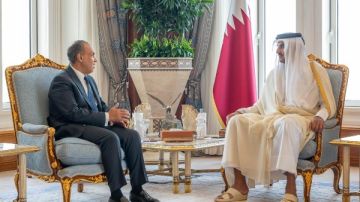 وزير الخارجية ينقل رسالة تضامن ودعم من الرئيس السيسي إلى أمير قطر