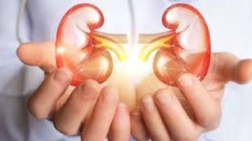 أخي وسندي .. أخت تتبرع بكليتها لشقيقها بمستشفى المقطم