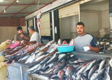 البلطي بـ85 جنيها.. أسعار السمك والمأكولات البحرية الشعبية بأسواق الإسكندرية اليوم الخميس 25 سبتمبر 2025