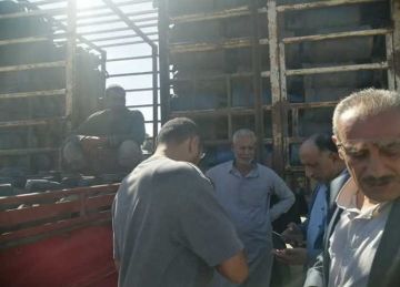 غلق وتشميع صيدلية وضبط مواد بترولية في حملة تفتيشية بالشرقية