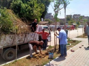 منال عوض تتابع الموقف التنفيذي للمرحلة الرابعة من المبادرة الرئاسية 100 مليون شجرة 