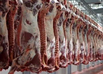 السوداني بـ 320 جنيها.. أسعار اللحوم في مطروح اليوم الأربعاء 24-9-2025 السوداني بـ 320 جنيها.. أسعار اللحوم في مطروح اليوم الأربعاء 24-9-2025