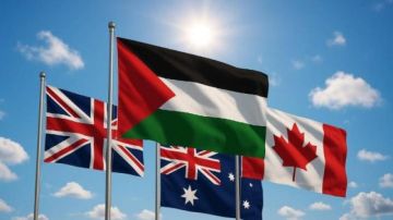 محمد مصطفى أبو شامة: بريطانيا تأخرت في الاعتراف بدولة فلسطين محمد مصطفى أبو شامة: بريطانيا تأخرت في الاعتراف بدولة فلسطين