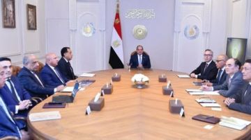 الرئيس السيسي يستقبل رئيسي شركتي سكاتك و صنجرو لبحث توطين صناعات الطاقة الخضراء الرئيس السيسي يستقبل رئيسي شركتي سكاتك و صنجرو لبحث توطين صناعات الطاقة الخضراء