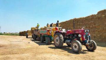 السحابة السوداء.. إجراءات عاجلة للتخلص الامن من المخلفات الزراعية بالشرقية صور
