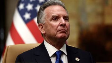 هل استغل نجل ويتكوف مكانة والده لعقد صفقات مع قطر والخليج؟ هل استغل نجل ويتكوف مكانة والده لعقد صفقات مع قطر والخليج؟