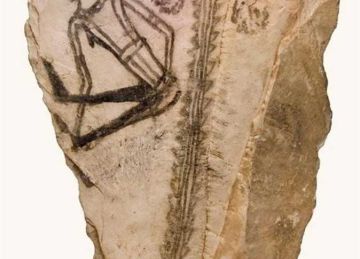  النخلة حكاية تراث .. المتحف القبطي يحتفل بعيد النيروز بمعرض مؤقت لمدة شهر