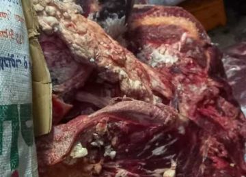 ضبط 3 أطنان لحوم ومنتجات حيوانية غير صالحة في أسيوط ضبط 3 أطنان لحوم ومنتجات حيوانية غير صالحة في أسيوط