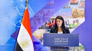 المشاط: الاقتصاد المصري من أكثر القطاعات تنوعا في المنطقة