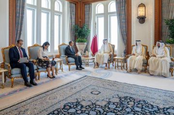 وزير الخارجية ينقل رسالة تضامن ودعم من الرئيس السيسي إلى أمير دولة قطر صور