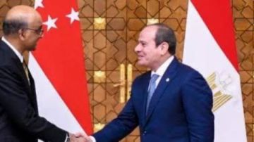 كمال ريان: زيارة رئيس سنغافورة تدشن مرحلة جديدة من التعاون الاقتصادي والاستثماري مع مصر