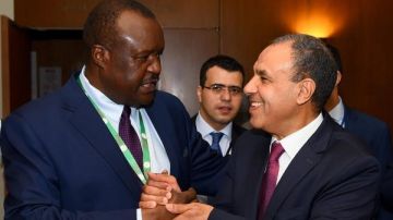 وزير الخارجية: دعم مصري كامل لتطوير دور برلمان عموم إفريقيا