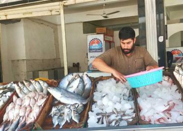 أسعار السمك والمأكولات البحرية الشعبية بأسواق الإسكندرية اليوم الأربعاء 17 سبتمبر 2025 أسعار السمك والمأكولات البحرية الشعبية بأسواق الإسكندرية اليوم الأربعاء 17 سبتمبر 2025