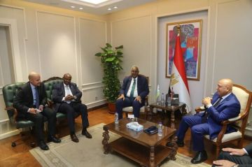 مصر وجيبوتي تبحثان تعزيز التعاون في مجالي النقل والصناعة