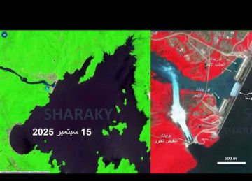 السد العالي جاهز لاستقبالها.. شراقي : زيادة تفريغ المياه في بحيرة سد النهضة