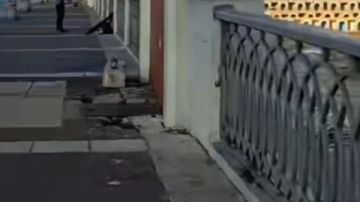 عقب الفيديو المتداول.. إدراج كوبري ستانلي ضمن خطة التطوير للعام الحالي