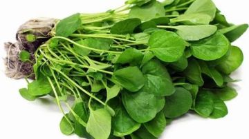 منشط ومقوي عام .. 7 فوائد عند تناول الجرجير يوميا منشط ومقوي عام .. 7 فوائد عند تناول الجرجير يوميا