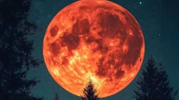صداع وأرق وبكاء .. خبيرة أبراج تفجر مفاجأة عن تأثير خسوف القمر على الصحة