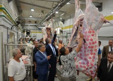 بتكلفة 30 مليون جنيه.. محافظ الدقهلية يفتتح مجزر دكرنس المطور بتكلفة 30 مليون جنيه.. محافظ الدقهلية يفتتح مجزر دكرنس المطور