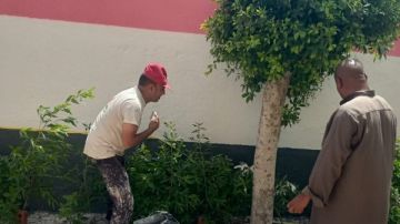 تواصل استعدادات المحافظات للعام الدراسي الجديد تواصل استعدادات المحافظات للعام الدراسي الجديد