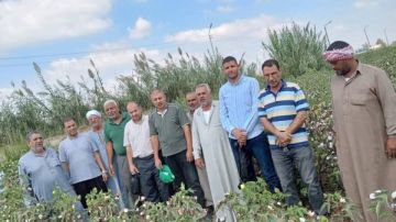 زراعة الشرقية تنفذ ندوة إرشادية للنهوض بمحصول القطن