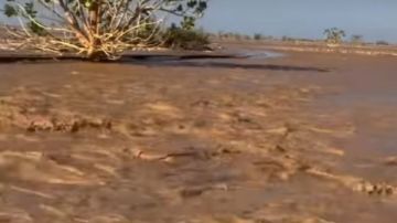 سيول مفاجئة تضرب أودية جبلية في حلايب وشلاتين وأبو رماد بالبحر الأحمر