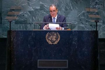 كلمة مصر أمام الجمعية العامة للأمم المتحدة بنيويورك فى دورتها الـ80.. النص الكامل